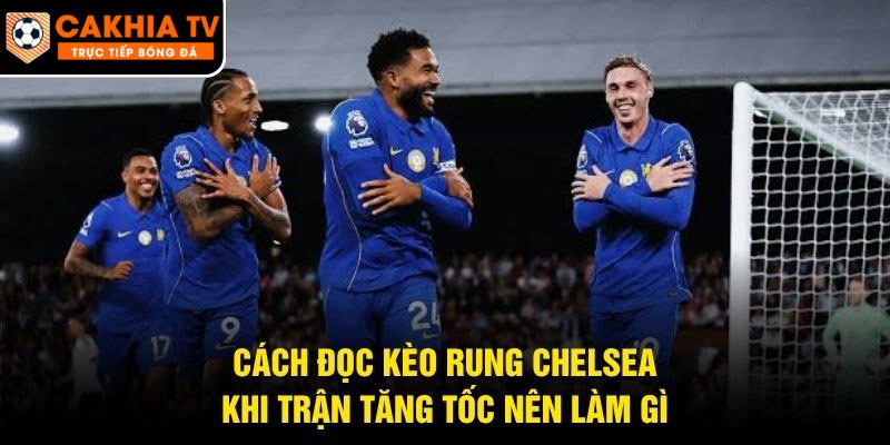 Cách Đọc Kèo Rung Chelsea – Khi Trận Tăng Tốc Nên Làm Gì